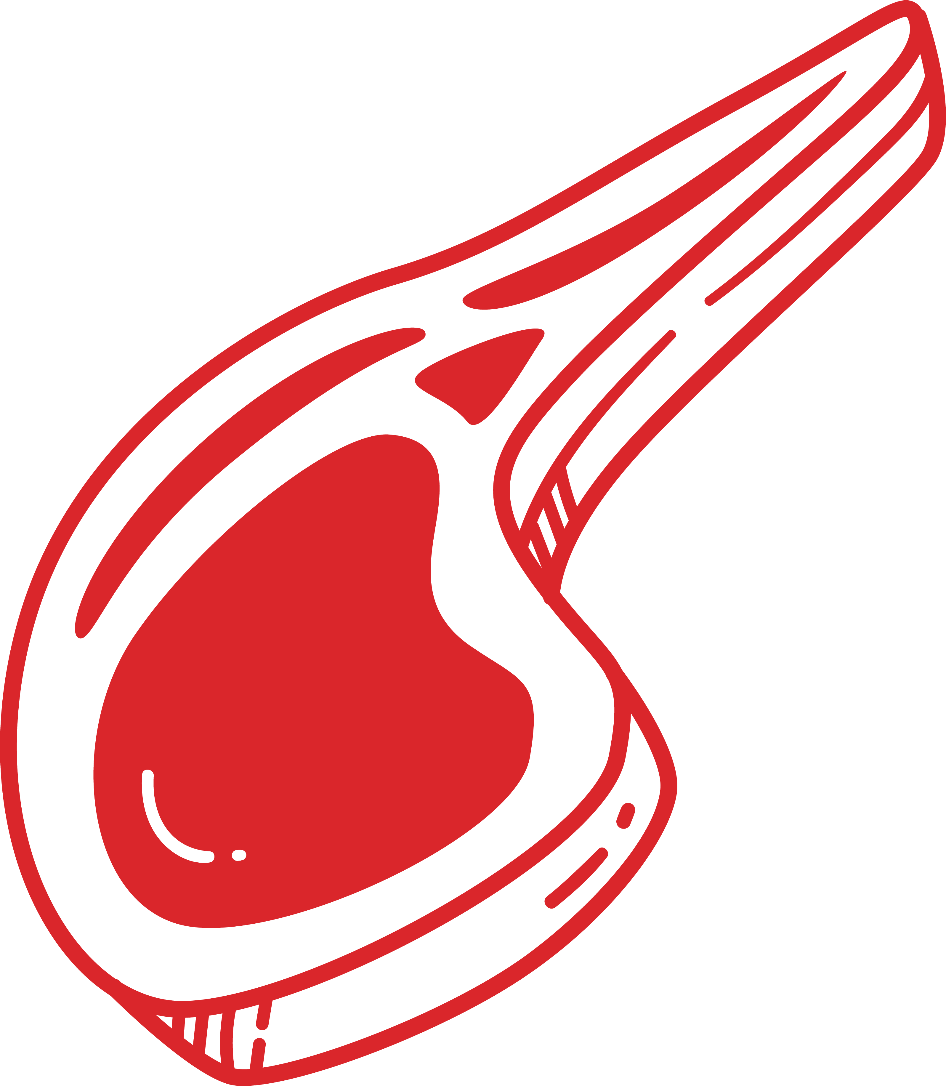 Adobados y carnes rellenas